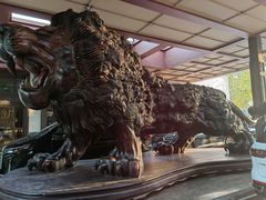 -春晖园度假酒店温泉