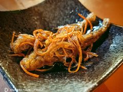 -鸟内会(河北路店)