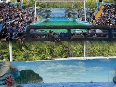 -上海野生动物园