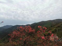 -永州阳明山国家森林公园