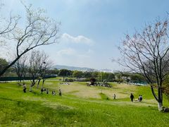 -羊山湖公园