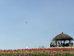 -径山花海