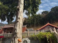 -灵光寺