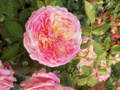 -人民公园(罗湖区)