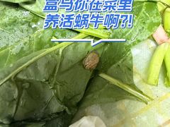 -盒马鲜生(红莲店)