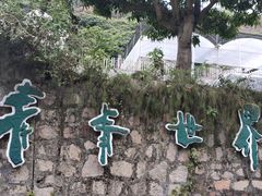 -青青世界