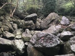 -宁波五龙潭景区