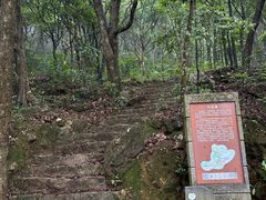 -梧桐山风景名胜区