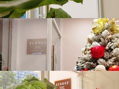-echoes coffee回响咖啡(红山店)