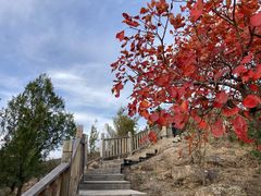 -北京十三陵国家森林公园蟒山景区