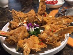 -鱼粤鲜淘米捞·中山脆肉鲩火锅(悦湖会店)