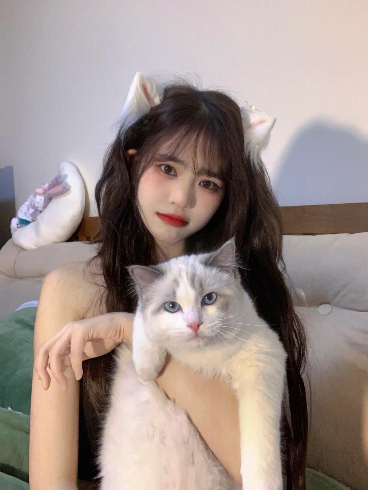 宠物头像感合照