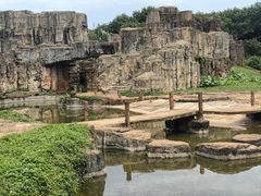 -海南热带野生动植物园