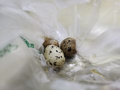 卤鹌鹑蛋-幸福包点(彭祖大道一段店)