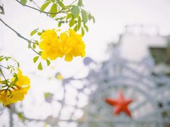 -黄桷坪涂鸦艺术街