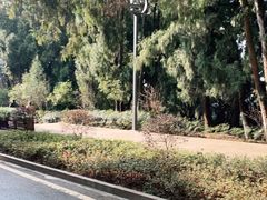 -七曲山风景区