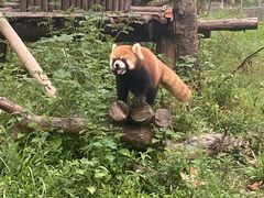 -宁波野生动物园