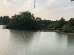 -中国湿地博物馆