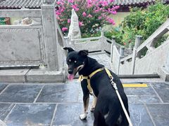 -开封包公祠