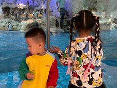 -帝企鹅自助餐厅•儿童岛•真企鹅(长隆企鹅酒店)