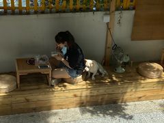 -椿风·养身茶饮(吉大店)