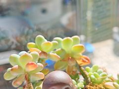 -品味泸沽湖•民族特色菜(大落水店)
