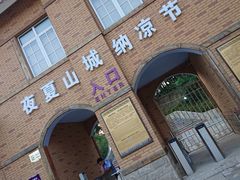 -大塘金香草谷