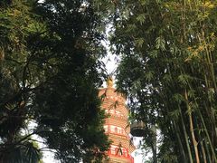 -中山公园(石岐街道)