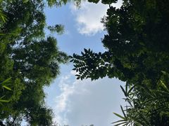 -成都动物园