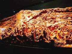 -上海市龙华烈士陵园