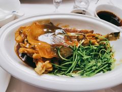 红烧河豚鱼-鲐赏河豚(长寿店)