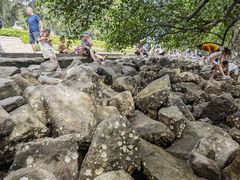 -宝安西湾红树林湿地公园