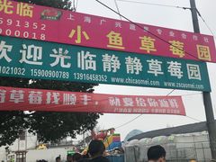 -小鱼草莓采摘园农家乐·小鱼餐厅