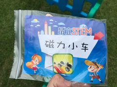 -中国福利会少年宫
