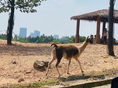 -杭州野生动物世界