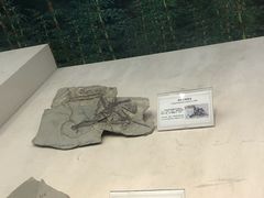 -辽宁古生物博物馆