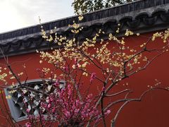 -无锡梅园公园