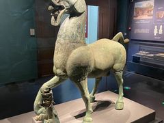 -广西壮族自治区博物馆