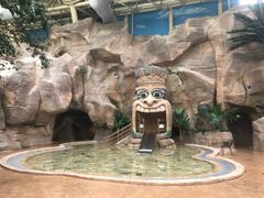 -杭州开元森泊度假乐园