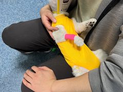 -A猫a狗全科·犬猫异宠·芥西宠物医院(南开总院)
