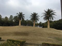 -美兰湖景区