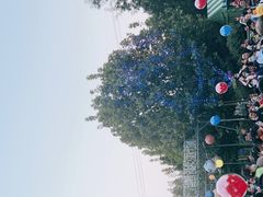 -青龙湖公园