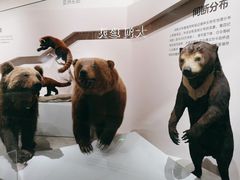 -武汉园博园(武汉自然博物馆)