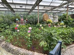 -南宫五洲植物乐园