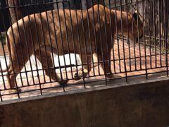 -广东茂名森林公园