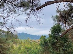 -墨江北回归线标志园