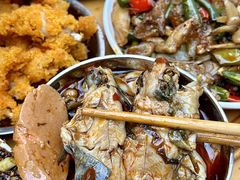 -鸿顺老铁锅美蛙鱼府(解放碑店)
