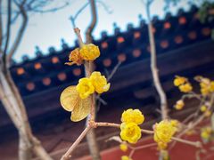 -广富林郊野公园