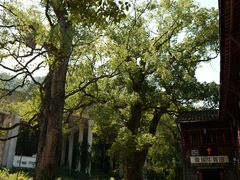 -上坦村