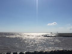 -南汇嘴观海公园